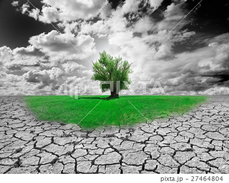 Environment Concept 27464804