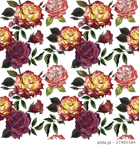 Wildflower rose flower pattern in a watercolor Wildflower rose flower pattern in a watercolor 27465384