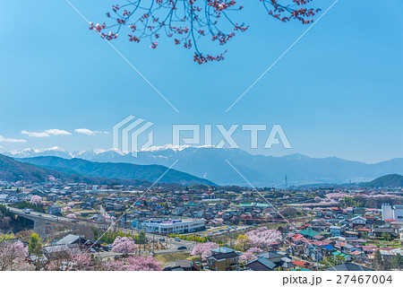 Cherry Blossom in Takato Cherry Blossom in Takato 27467004