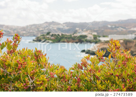 A landscape with sea view A landscape with sea view 27473589