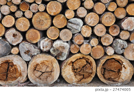 Pile of dry wood Pile of dry wood 27474005