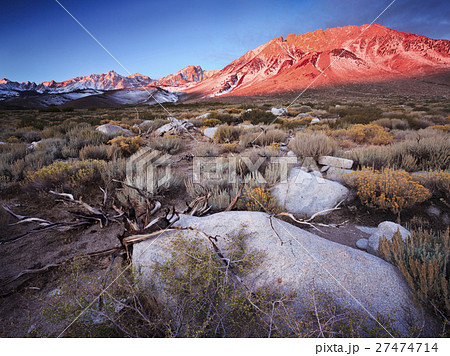 Buttermilk Hill in Bishop California Buttermilk Hill in Bishop California 27474714