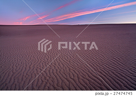 Coastal Dunes, California 27474745