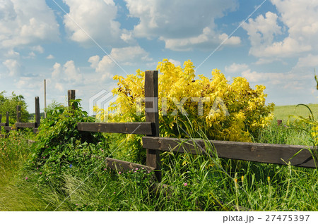 Country Timber Fence Country Timber Fence 27475397