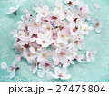 桜の花 27475804