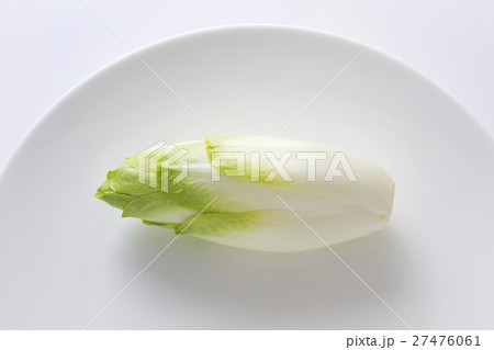 チコリ5 27476061