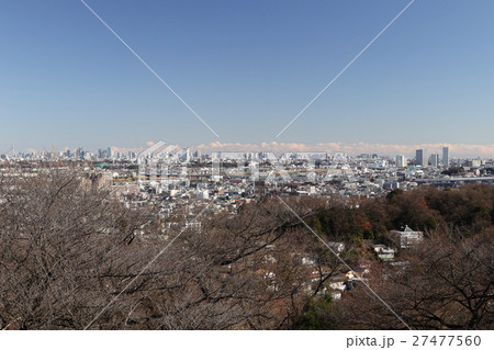 枡形山展望台から新宿方面を望む 27477560