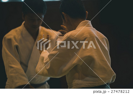 martial artist martial artist 27478212