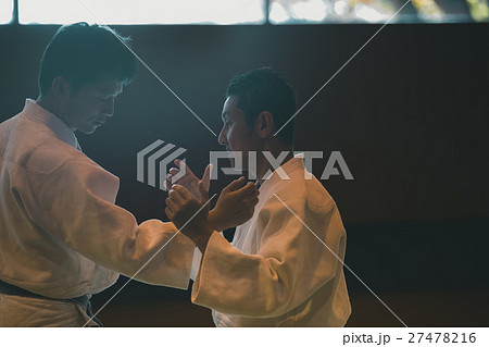 martial artist 27478216