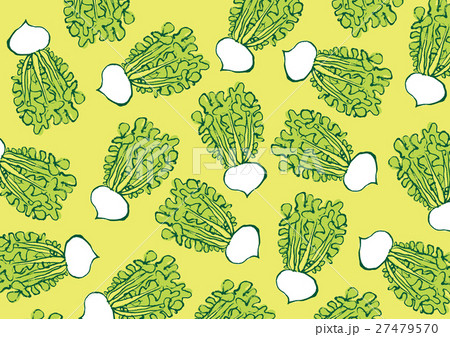 かぶ 蕪 水彩画 柄 パターン かぶ 蕪 水彩画 柄 パターン 27479570
