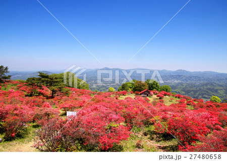 高柴山のツツジ（田村市・小野町） 27480658
