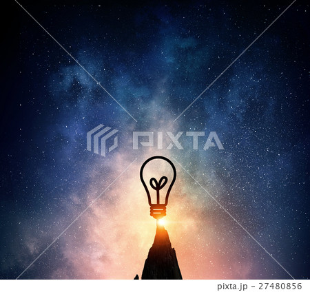 Top achieving idea 27480856