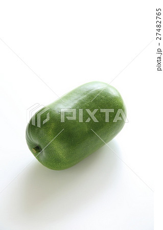 冬瓜 冬瓜 27482765