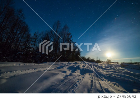 Winter night landscape with woods under starry sky Winter night landscape with woods under starry sky 27485642