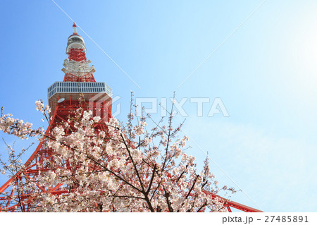 東京タワーと桜 東京タワーと桜 27485891