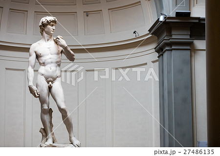 David by Michelangelo 27486135