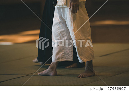 martial artist martial artist 27486907
