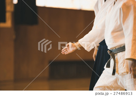 martial artist martial artist 27486913