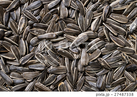 Sunflower seed 27487338