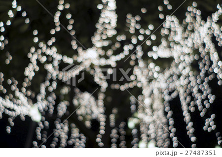 a light on a tree 27487351