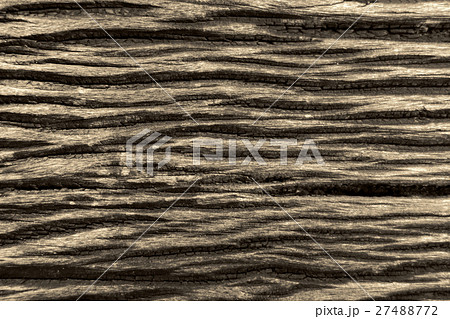 Wood texture background 27488772