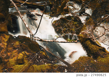 Knyvet Falls in Cradle Mountain 27490625