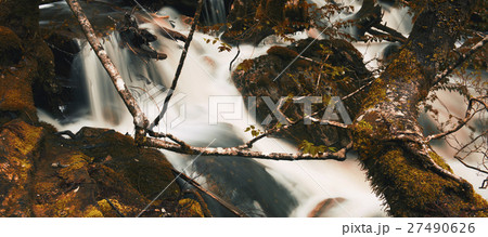 Knyvet Falls in Cradle Mountain 27490626