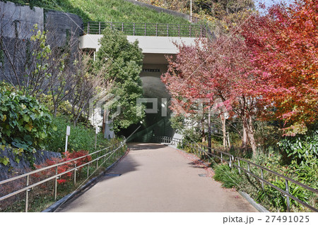 東横フラワー緑道 高島山トンネル 外観 東横フラワー緑道 高島山トンネル 外観 27491025