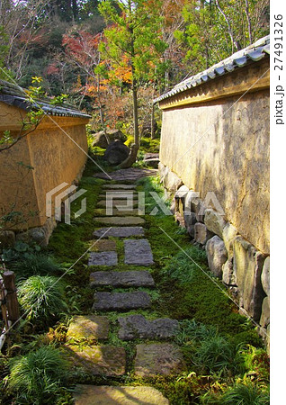 佐賀県武雄市の高野寺庭園の紅葉 佐賀県武雄市の高野寺庭園の紅葉 27491326