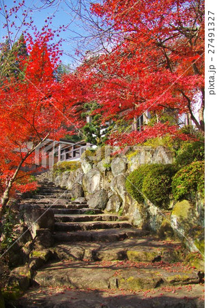 佐賀県武雄市の高野寺庭園の紅葉 佐賀県武雄市の高野寺庭園の紅葉 27491327