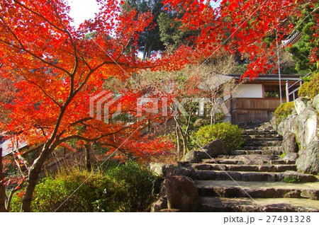 佐賀県武雄市の高野寺庭園の紅葉 佐賀県武雄市の高野寺庭園の紅葉 27491328