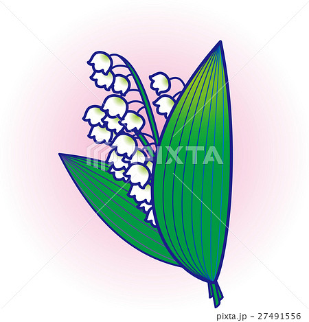 すずらん花束 ピンクぼかし すずらん花束 ピンクぼかし 27491556