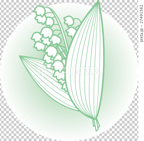 すずらん花束　グリーンライン　ぼかし 27491562