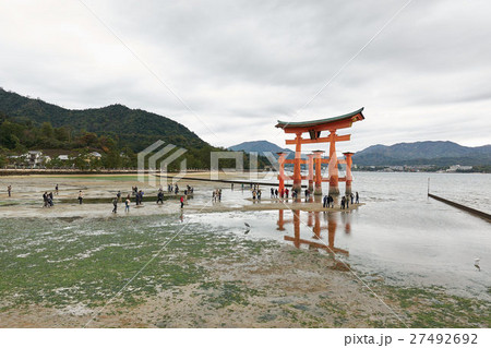 干潮時の宮島 厳島神社の大鳥居 広島県の写真素材