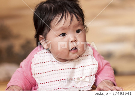 ハイハイする赤ちゃん ハイハイする赤ちゃん 27493941