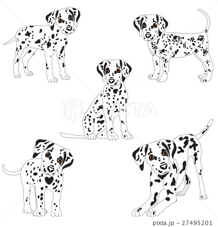 Dalmatians Cute Sad Vector Illustrationのイラスト素材