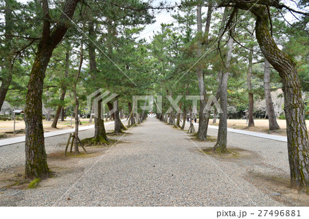 出雲大社松の参道 出雲大社松の参道 27496881