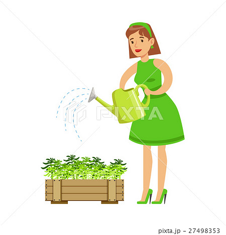 Woman Watering Sprouts In Crate , Contributing 27498353