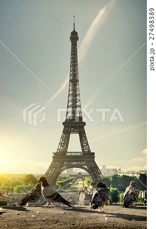 Doves and Eiffel Tower 27498389