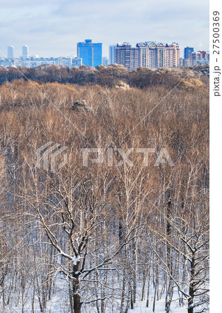 city and tree crowns illuminated by sunlight city and tree crowns illuminated by sunlight 27500369