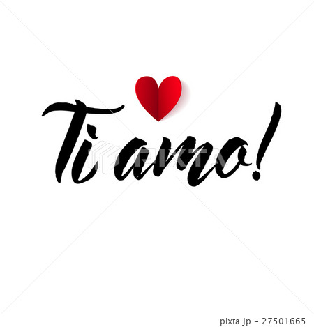 I Love You. Valentines Day Italian Black and Red 27501665