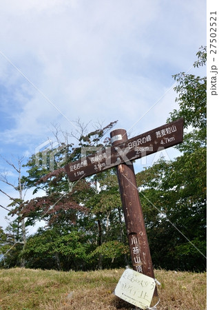 川乗山山頂 川乗山山頂 27502521