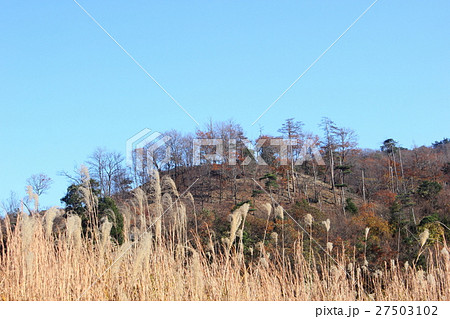 免鳥長山古墳(福井県 福井市) 免鳥長山古墳(福井県 福井市) 27503102