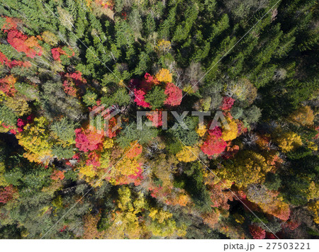 秋の恵庭渓谷（空撮 真俯瞰） 27503221