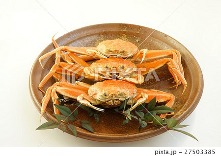 香箱がに 香箱がに 27503385