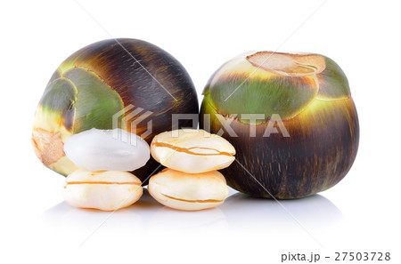 Asian Palmyra palm, Toddy palm, Sugar palm  27503728