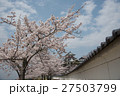 桜 27503799