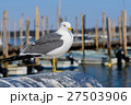 鳥 27503906