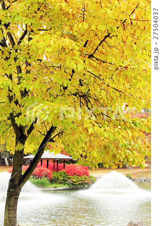 小布施の紅葉13 小布施の紅葉13 27504037