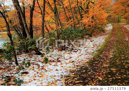 紅葉に初雪の潟沼湖畔 27511379